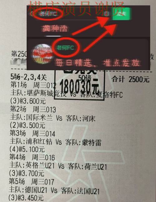 华体会世界杯投注网站入口与赔率分析